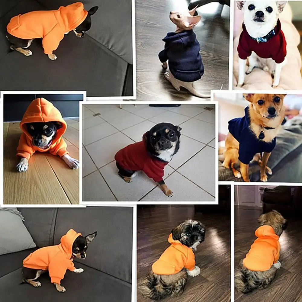 LUXE LINE Dog Hoodie Sweatshirt Jacket