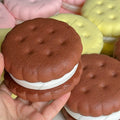 Giant Cookie Squishy Slow Rise Toy
