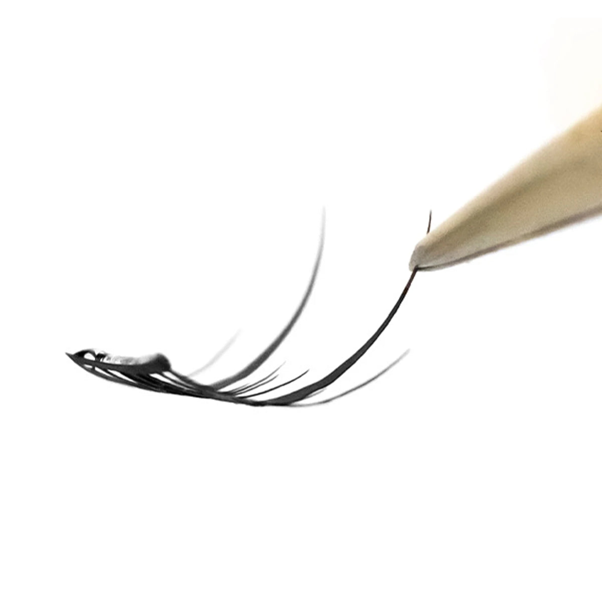 Tina Marie Eyelash Clusters